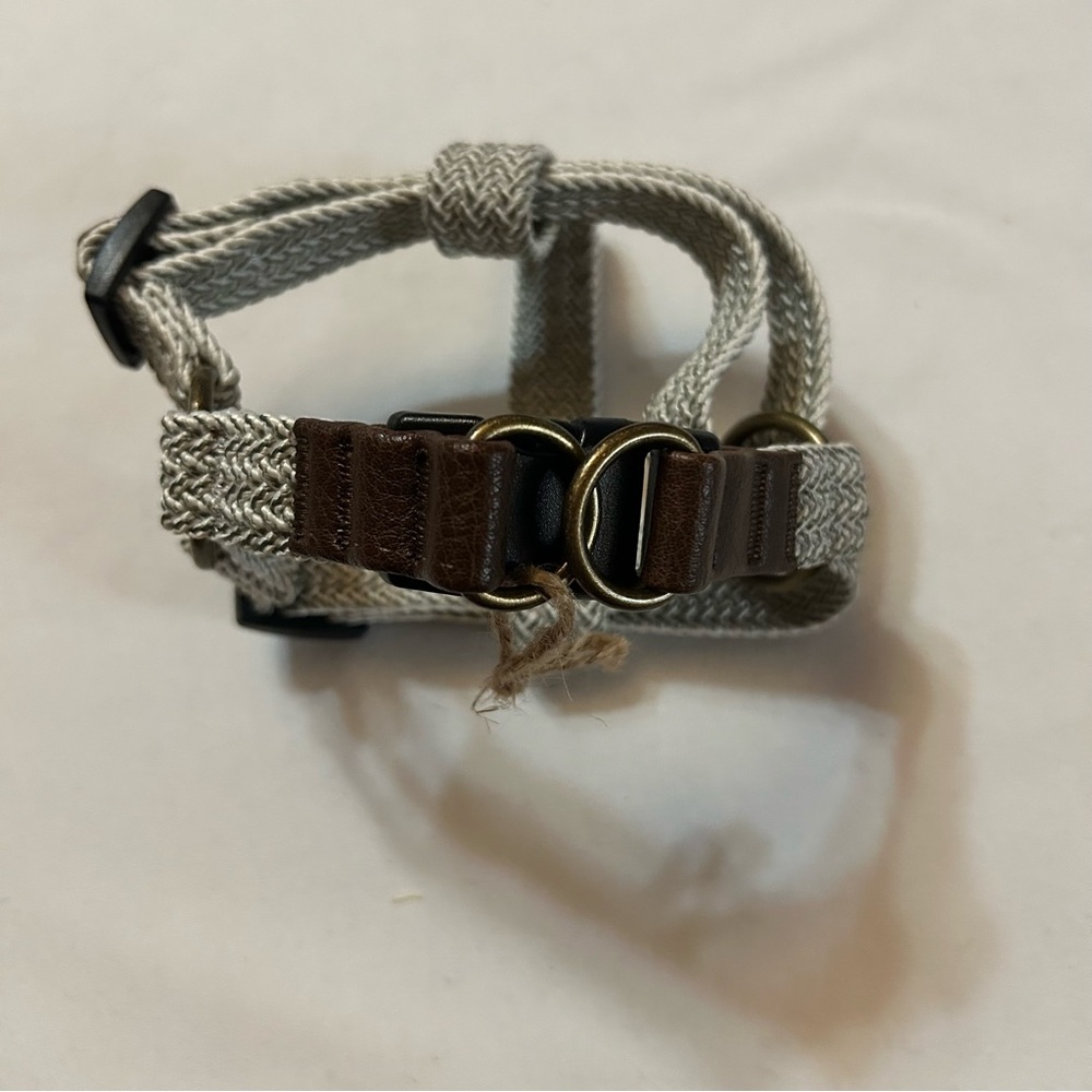 Stylish Dog Collar